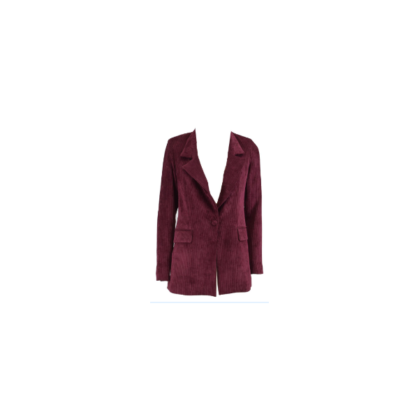 Blazer  clasic