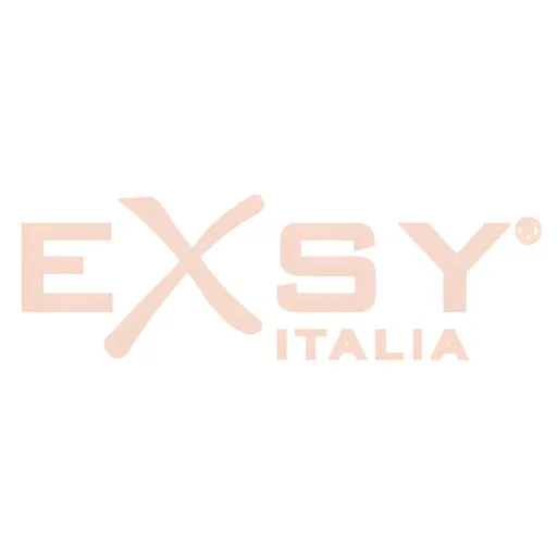 Exsy